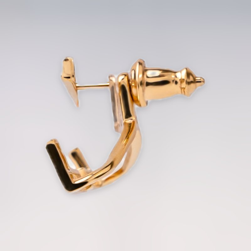 Frame Gold Earrings (2)