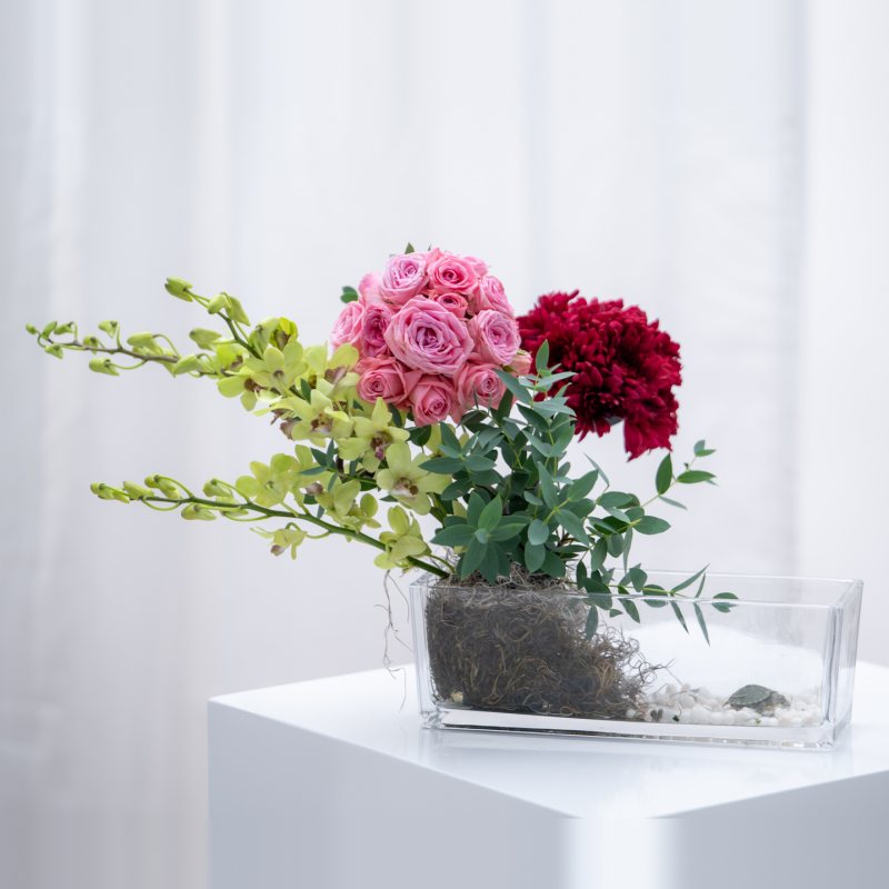 Unique Turtle Vase