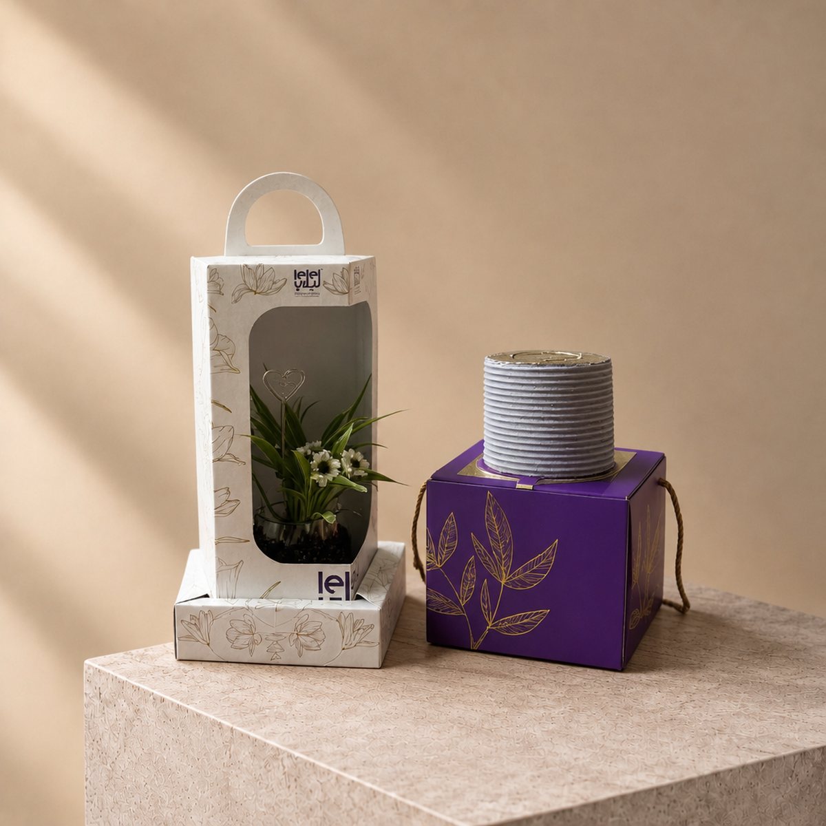 Green Spider Plant and Cake