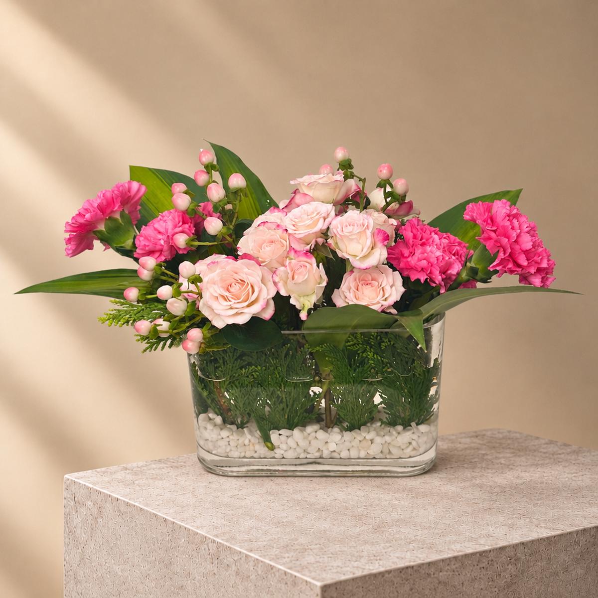 فازة شروق الصباح (3)