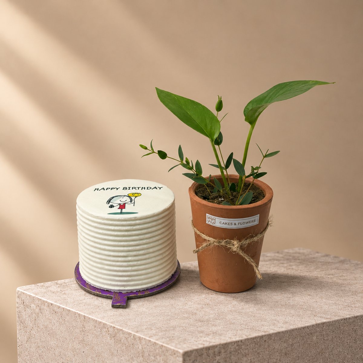 Plant and Cake