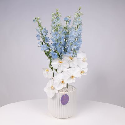 Design Splendor Vase