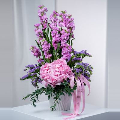 فازة صوت الفراشة