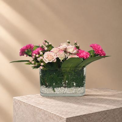 فازة شروق الصباح