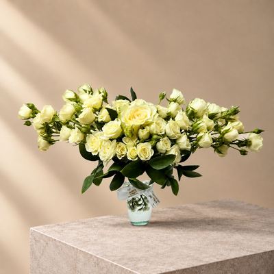 فازة الروح البيضاء